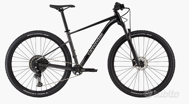 bicicletta