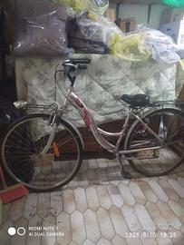Bicicletta