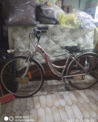 Bicicletta