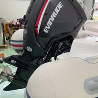 Evinrude G2 115 HO