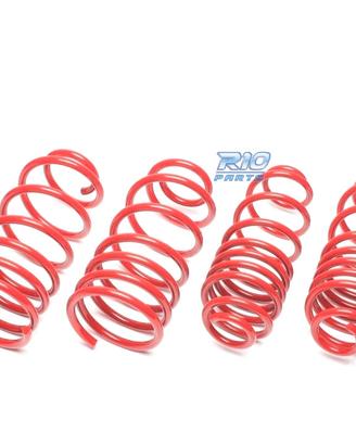 KIT MOLLE SPORTIVE PER SKODA