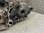 Immagine 5