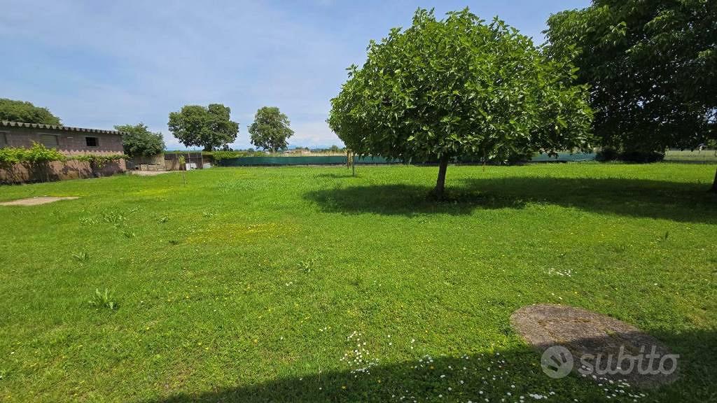 Rustico / Casale di 370 m² con più di 5 locali e b - Vista 5