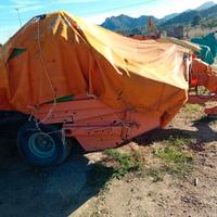 GALLIGNANI 5690 GOLD