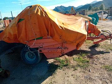 GALLIGNANI 5690 GOLD