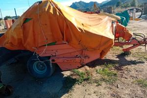 GALLIGNANI 5690 GOLD