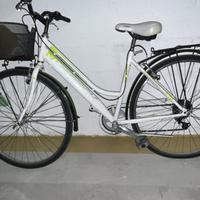 Bici Vertex