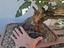 Immagine 6