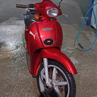 Aprilia Scarabeo 50cc 2T doppio freno a disco