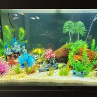 accessori per animali