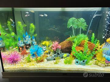 accessori per animali