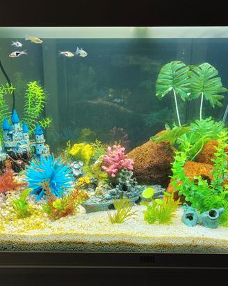 accessori per animali