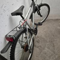 Bicicletta uomo