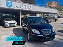 lancia-musa
