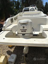 Barca completa di carrello e motore