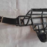 Museruola Gappay pitbull femmina