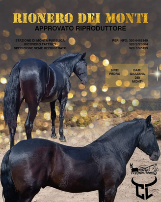 Cavallo Murgese