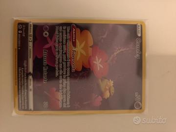  Mabosstiff ex Di Pepe

Comfey Galleria Di Galar