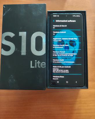 Samsung Galaxy S10 Lite 