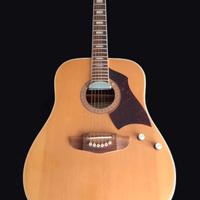 EKO Rio Bravo 6 EL chitarra acustica elettrificata