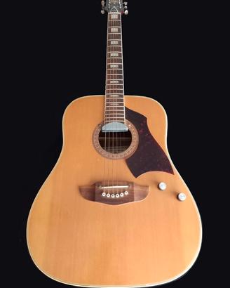 EKO Rio Bravo 6 EL chitarra acustica elettrificata