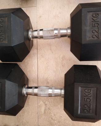 Coppia di manubri esagonali 22,5 kg
