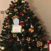 Albero di Natale