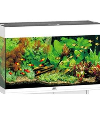 Acquario Juwel Rio 125 bianco 81x36x50h completo