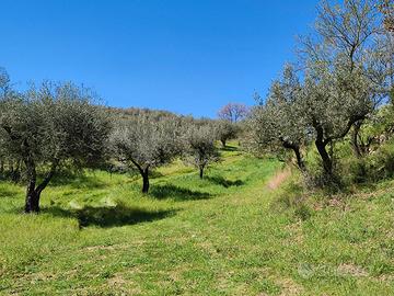 Terreno nel comune di Fara in Sabina (RI)