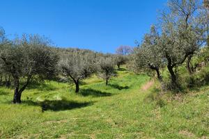 Terreno nel comune di Fara in Sabina (RI)