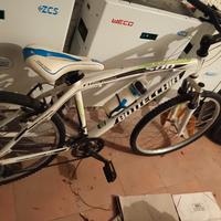 bici bottecchia