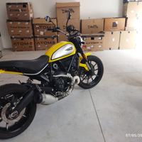 Ducati Scrambler 800 Icon Yellow
