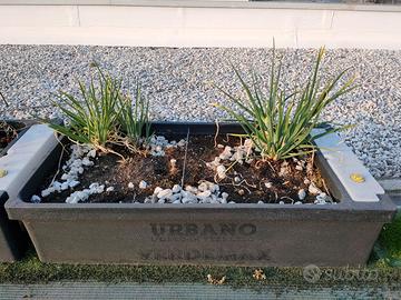 Vaso per orto Verdemax Orto Urbano