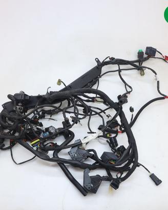 Impianto elettrico MOTO GUZZI V85 TT