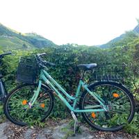 Bici Bianchi Spillo city bike donna