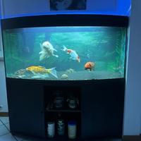 Acquario 450 litri