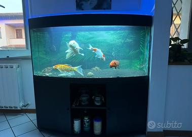 Acquario 450 litri