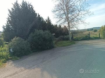 Terreno recintato lungo la ss387