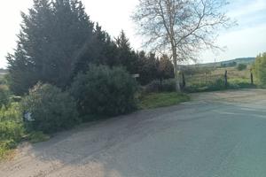 Terreno recintato lungo la ss387