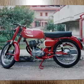 Moto Morini