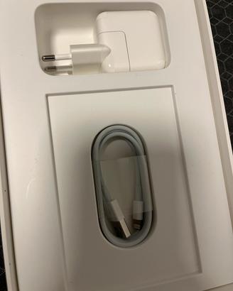 Ipad mini
