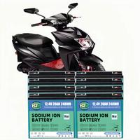 Batteria al Sale H2W 12.4V 20Ah 248Wh 300CCA Si