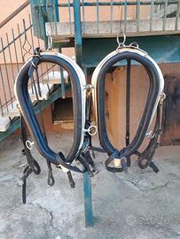 Finimenti da carrozza – MISURA COB – IN BLOCCO