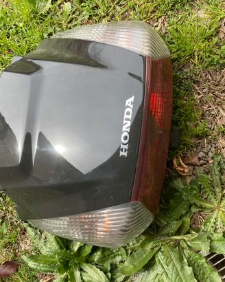 codino silver wing honfa 600