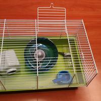 Gabbia per criceto e trasportino