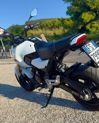 HONDA GROM MSX 125 2025 - ACCESSORIATA