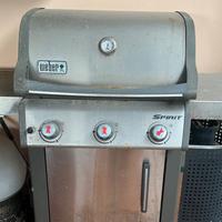 Weber spirit e330 gas