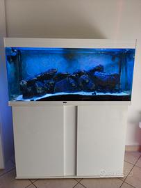 acquario 200 litri completo di mobile e accessori 