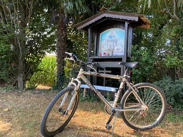 Bicicletta da strada