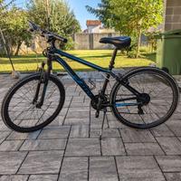 bicicletta mountanbike